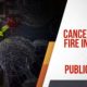 Cancer in the Fire Industry and a Lack of Public Policy