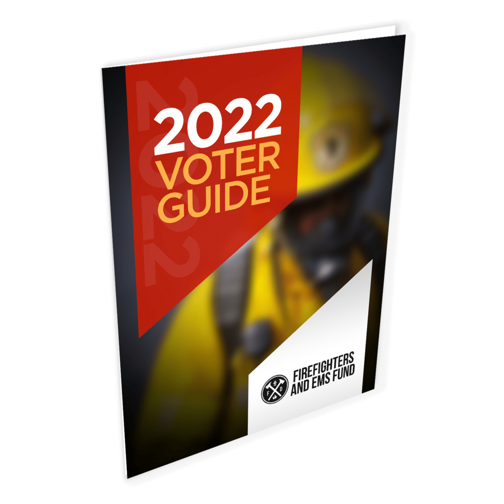 2022 voter header ebook