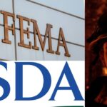 Federal Support for Local Emergency Funds - Featured Image