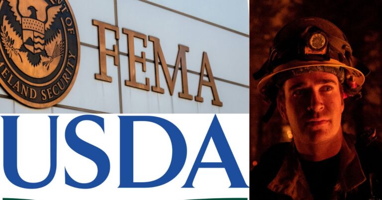 Federal Support for Local Emergency Funds - Featured Image